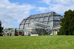 Botanischer Garten Berlin Dahlem, Grosses Gewächshaus, Victoria Haus, Jardin botanique de Berlin Dahlem, Grande Serre, Victoria