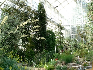 Botanisches Museum Berlin Dahlem, Gewächshaus, Jardin botanique de Berlin Dahlem, Serre