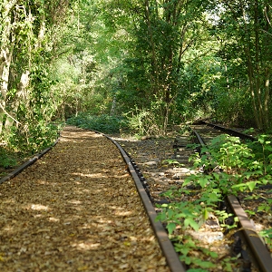 Park am Gleisdreieck, Flaschenhalspark, Gleisbett