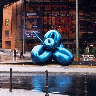 Balloon Flower