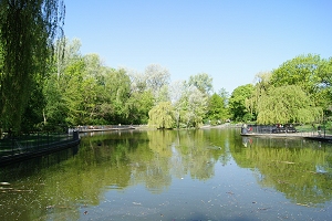 Volkspark Friedrichshain Grosser Teich